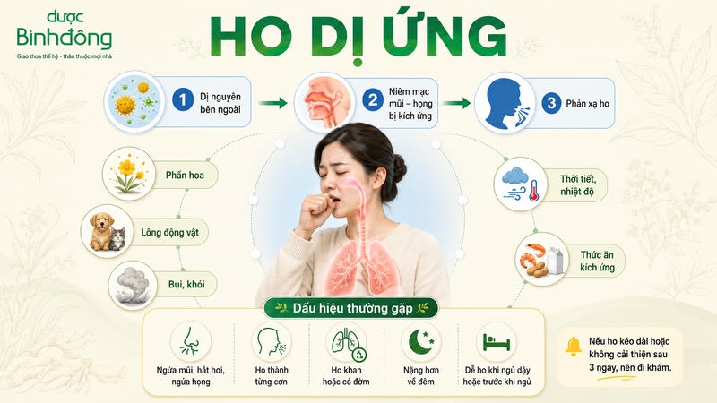 Infographic cho thấy ho dị ứng hình thành do tác nhân kích ứng bên ngoài