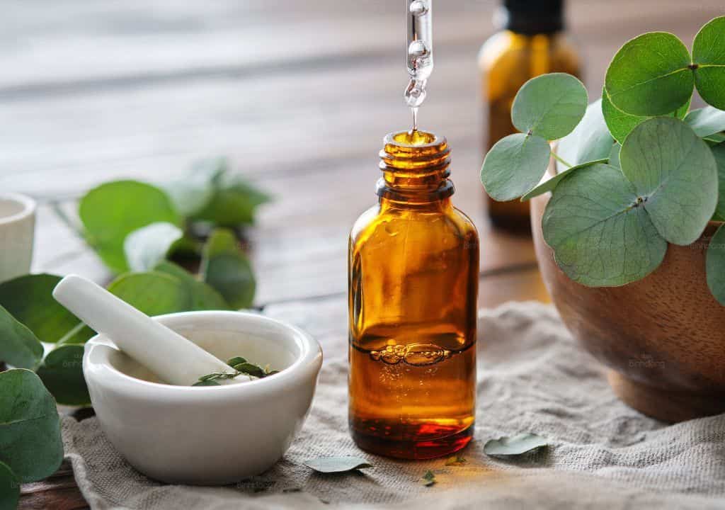 Hình ảnh về tinh dầu khuynh diệp gúp làm tiêu đờm tại nhà hiệu quả