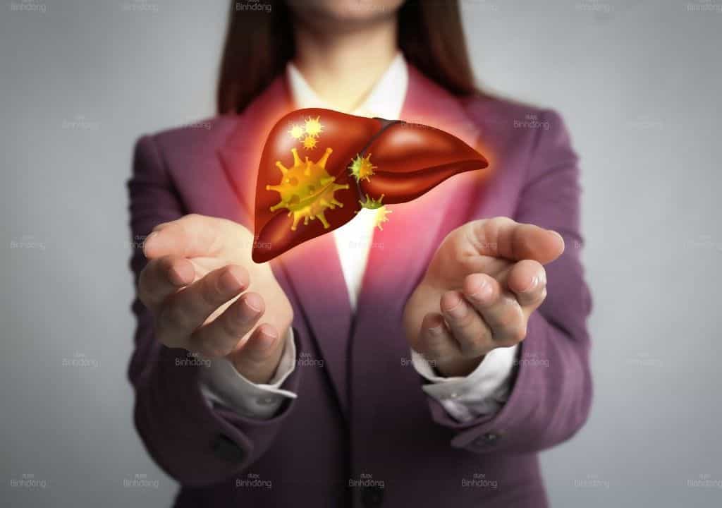 Hình ảnh người phụ nữ đang cầm mô hình Bộ phận Gan