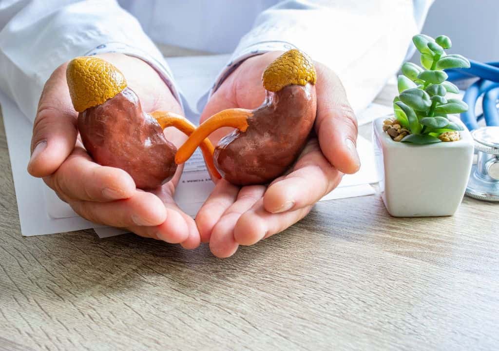 Hình ảnh về 2 quả thận bị hư dẫn đến mẩn ngứa ở bụng