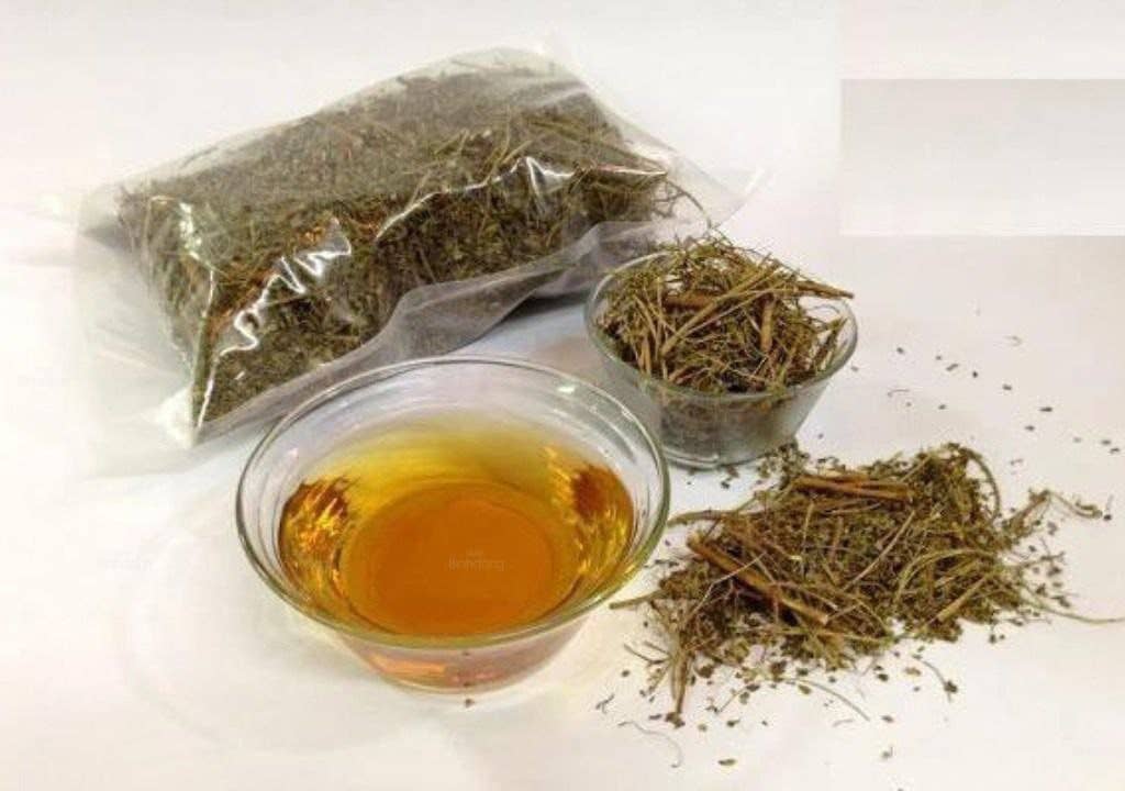 Hình ảnh về trà diệp hạ châu