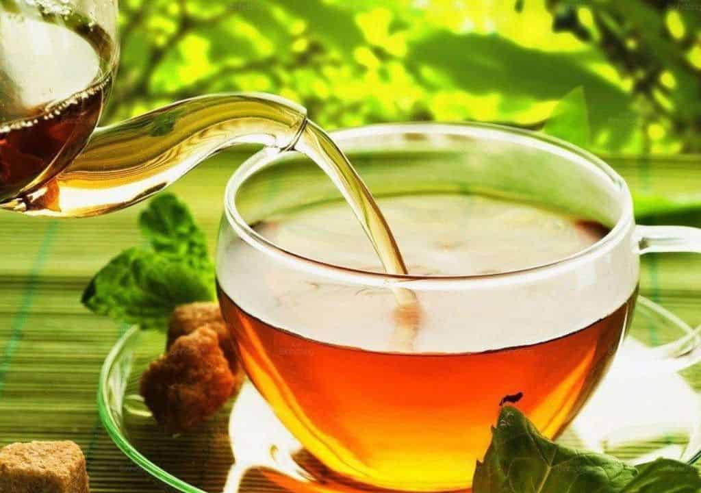 Hình ảnh về trà giải độc gan nhân trần