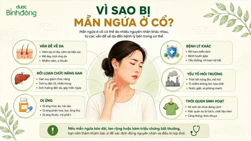 Infographic nguyên nhân mẩn ngứa ở cổ gồm vấn đề da, gan, dị ứng, môi trường và thói quen sinh hoạt.