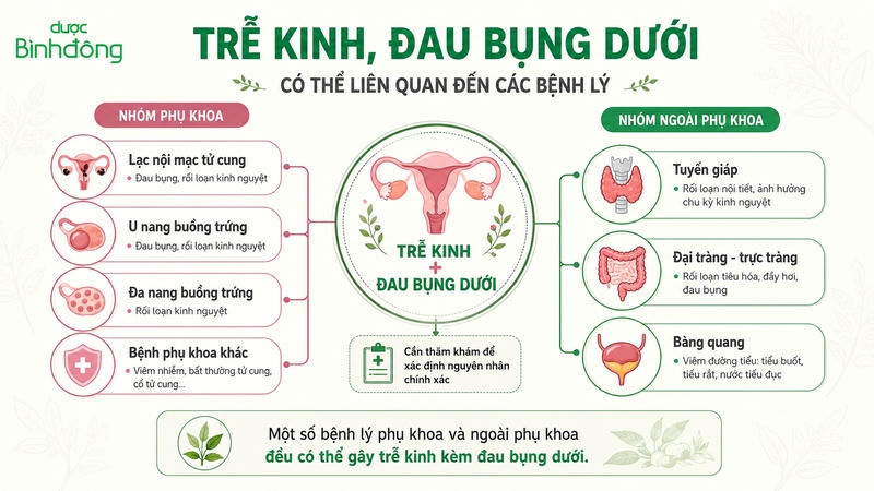 Infographic phân nhóm các bệnh lý phụ khoa và ngoài phụ khoa có thể liên quan đến trễ kinh kèm đau bụng dưới.