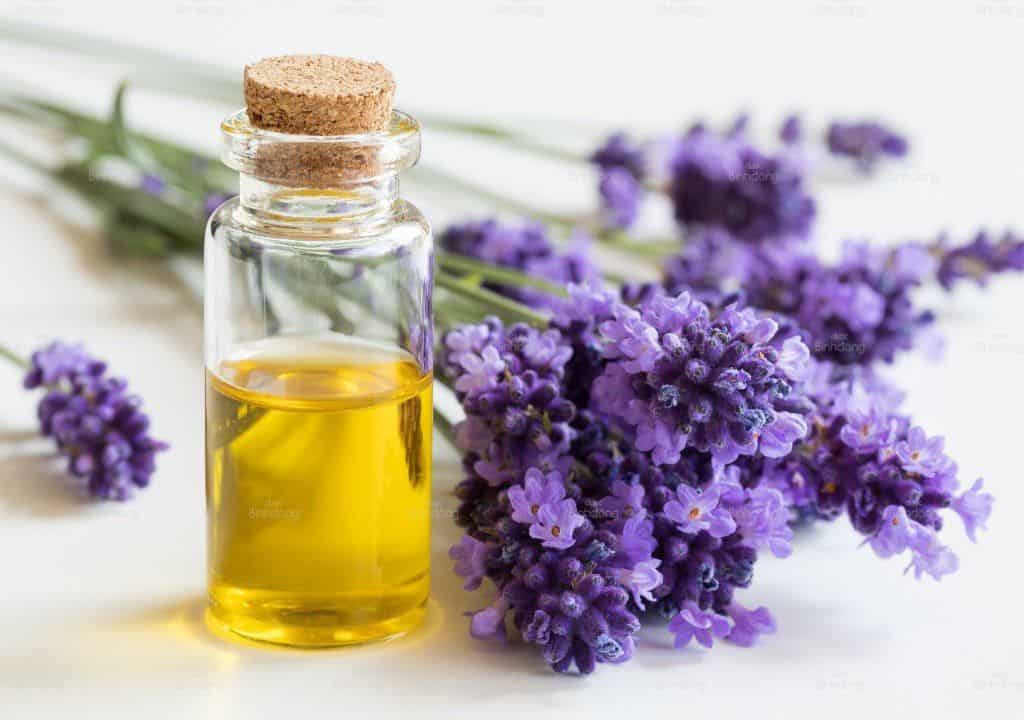 Hình ảnh về chai tinh dầu giúp làm giảm đờm cổ họng