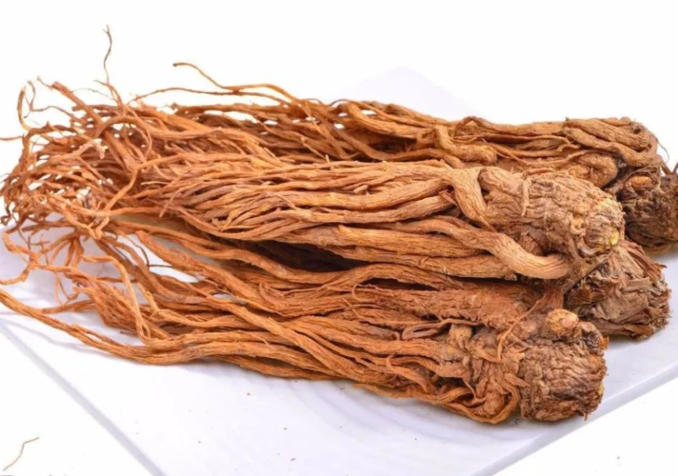 Hình ảnh về vị thuốc Đương quy