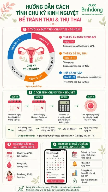 Infographic hướng dẫn tính chu kỳ kinh nguyệt