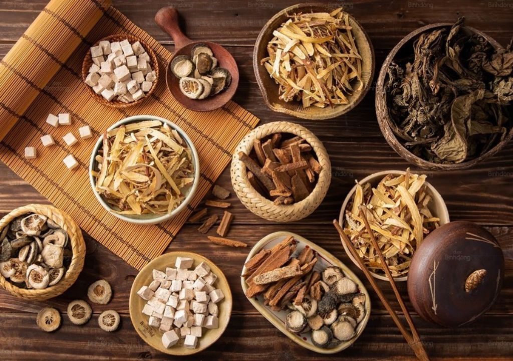 Các vị thuốc Nam được sử dụng để điều trị thoái hóa khớp gối