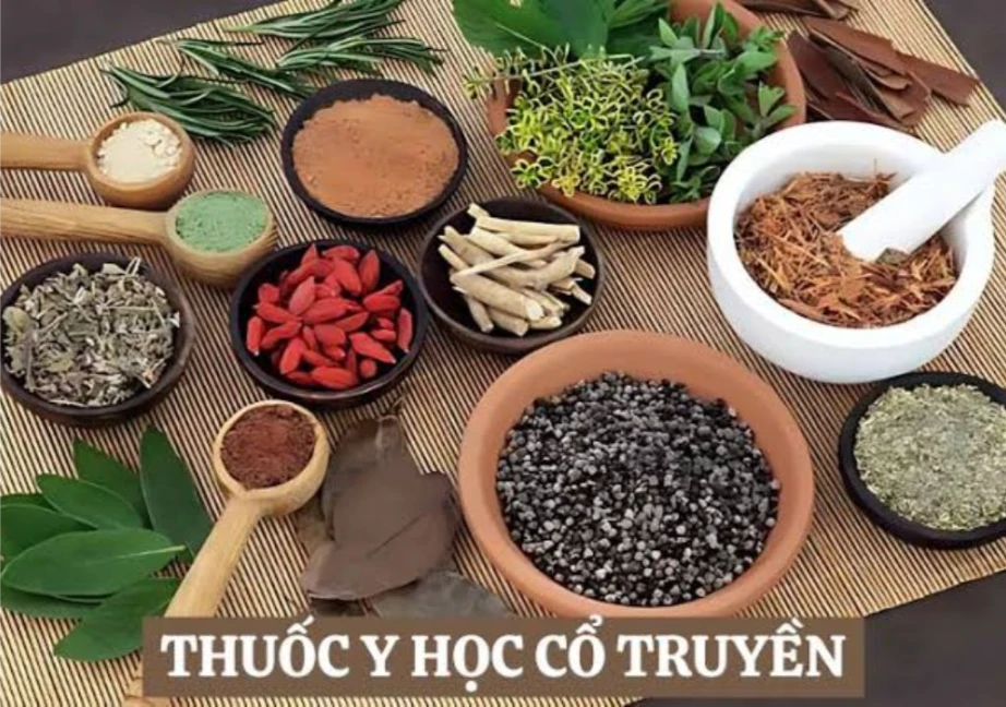 Các vị thuốc nam được được sắp xếp trên một bề mặt bằng gỗ sử dụng trong y học cổ truyền