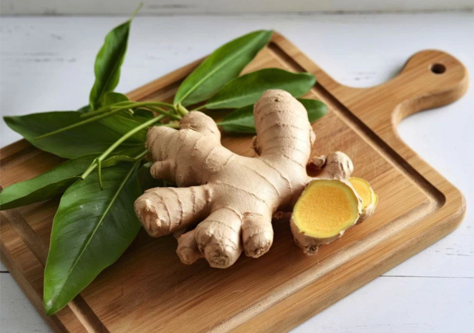 Công dụng của vị thuốc gừng trong điều trị viêm khớp