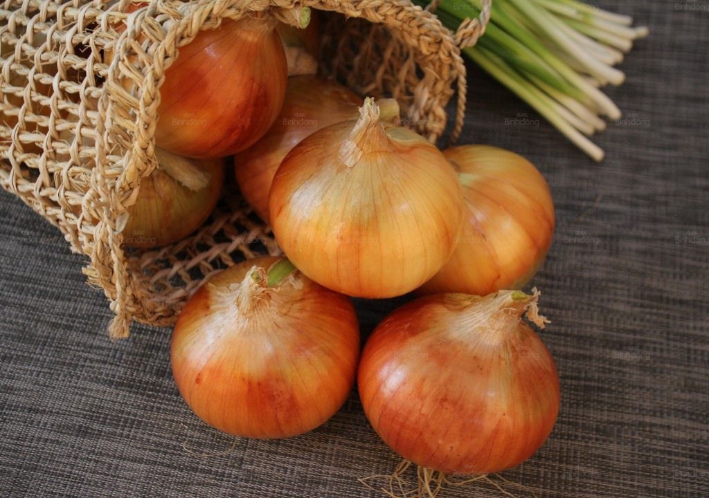 Hình chụp của hành tây hỗ trợ điều trị ho có đờm
