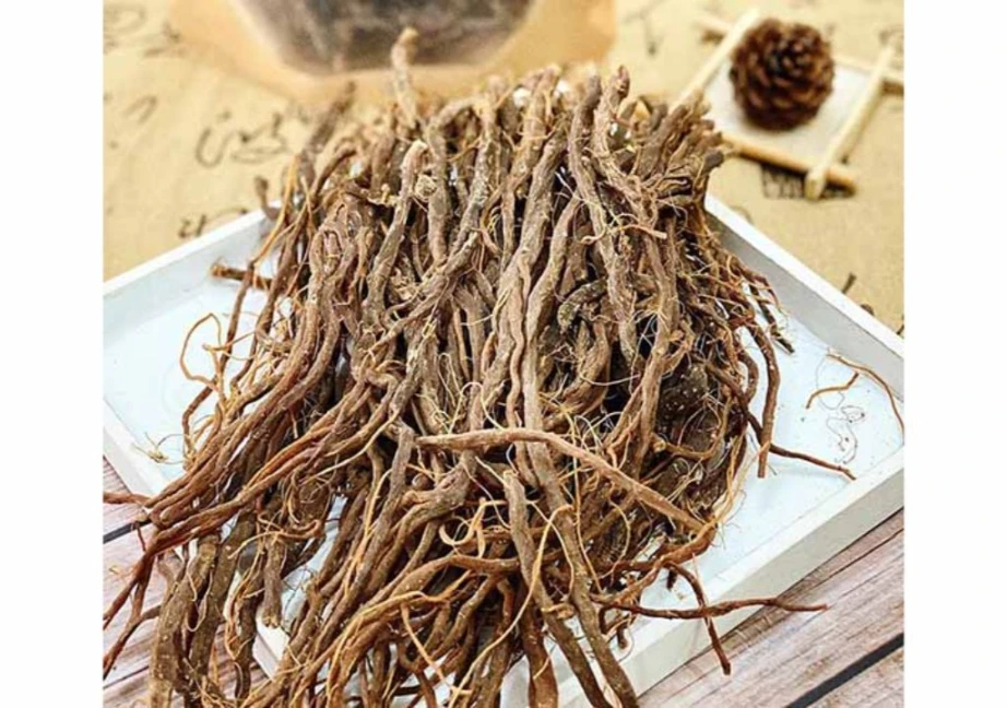 Hình ảnh rễ của cây ngưu tất được dùng làm thuốc