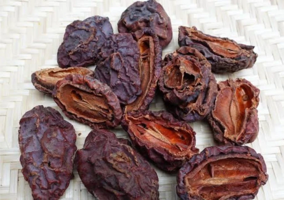 Trái mộc qua sau khi phơi khô và chuẩn bị được dùng làm thuốc