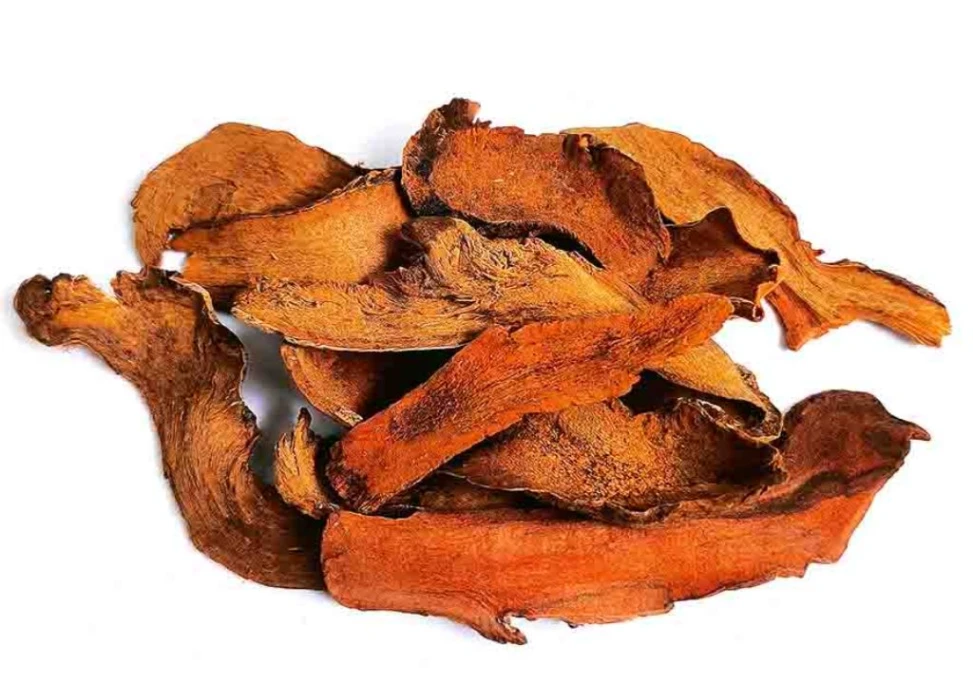 Vị thuốc cốt toái bổ giúp bổ xương khớp