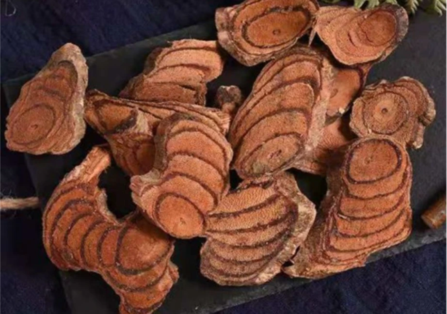 Vị thuốc kê huyết đằng hỗ trợ điều trị thoái hóa