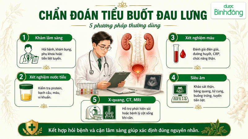 Infographic chẩn đoán tiểu buốt đau lưng với 5 phương pháp thường dùng