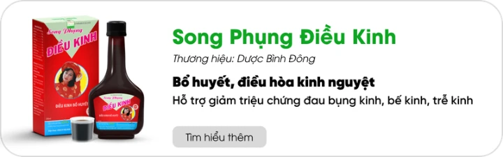SPBVSK Song Phụng Điều Kinh Bình Đông