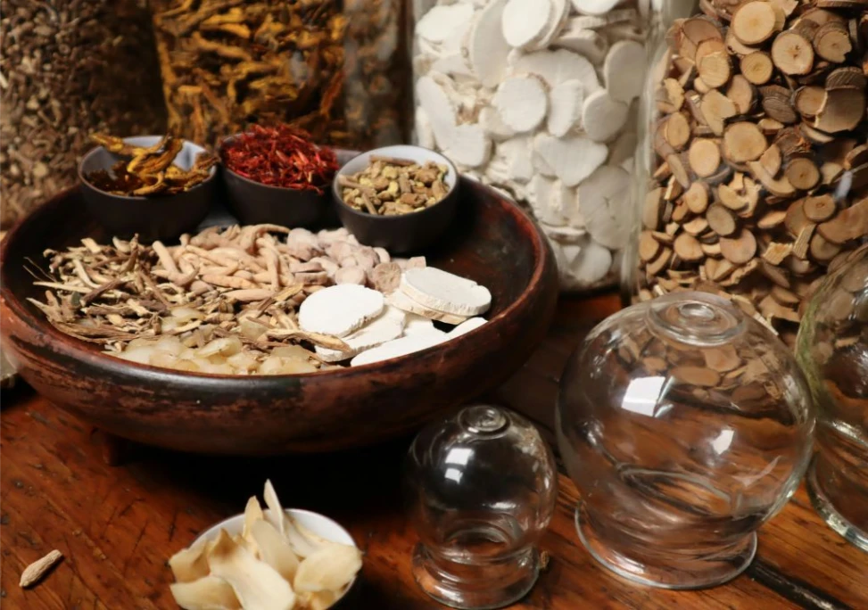 Các bài thuốc Đông y trị đau lưng tốt cho sức khỏe