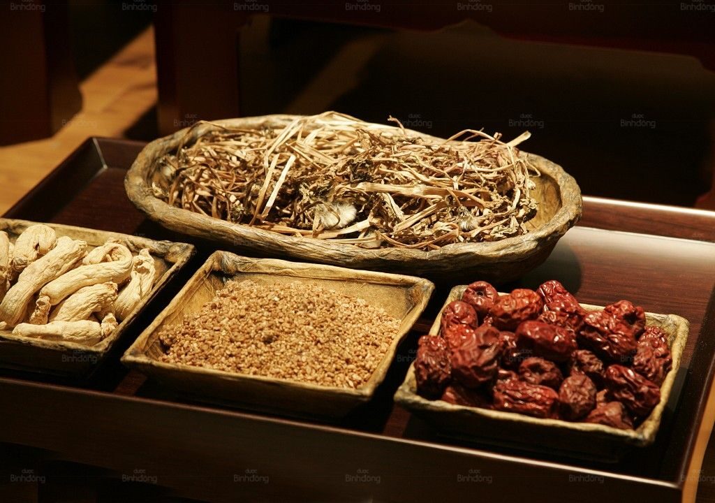 Hình ảnh cây thuốc bài thuốc đông y trị mất ngủ