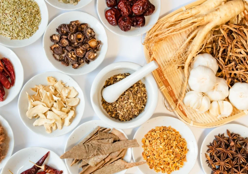 Hình ảnh các vị thuốc Đông y