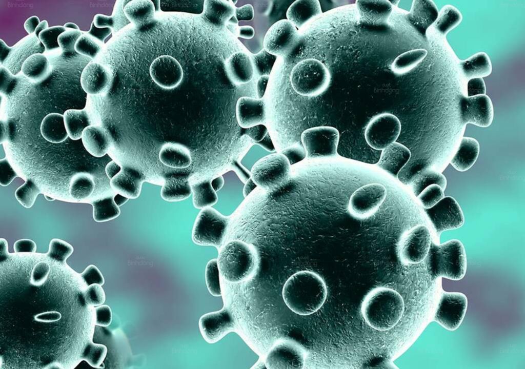 Hình ảnh virus đang tấn công