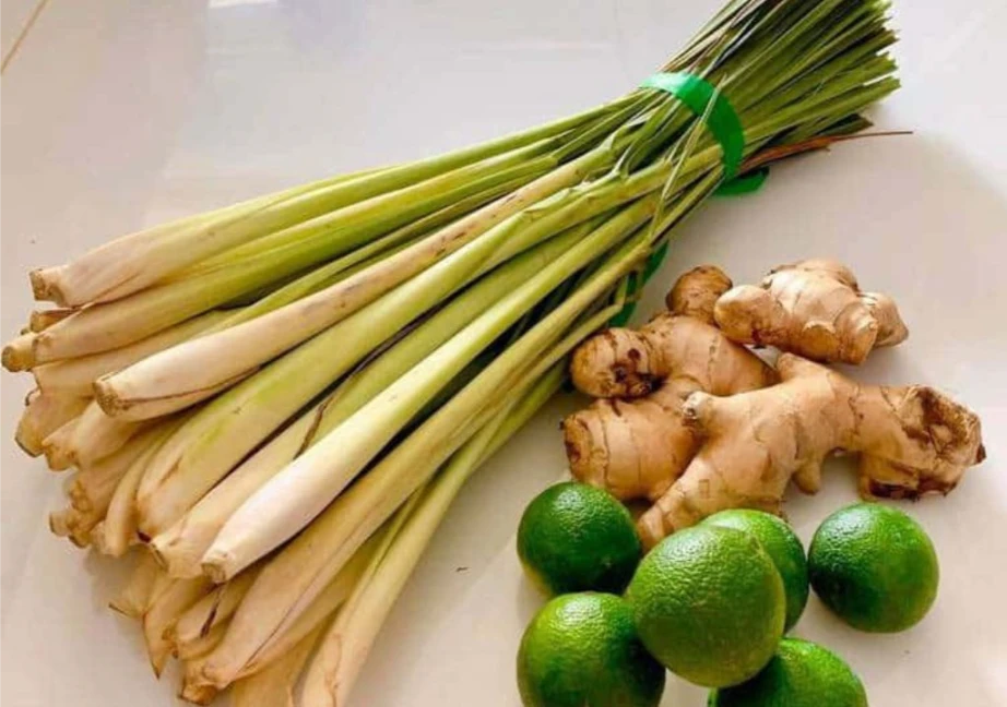 Công dụng của chanh, sả, gừng