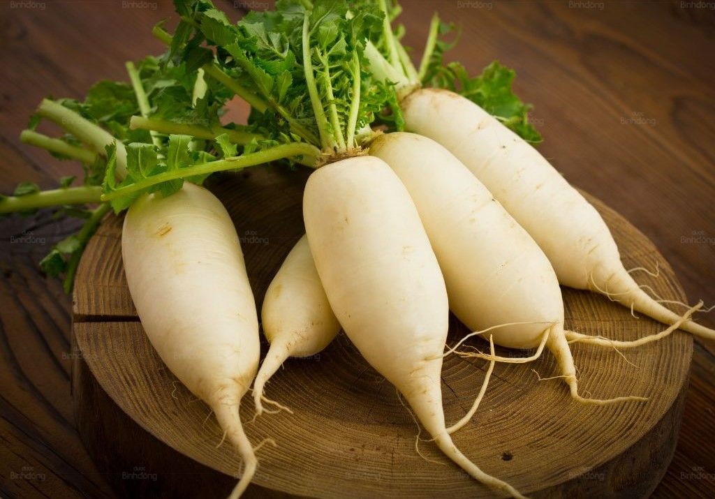 Củ cải trắng trị ho