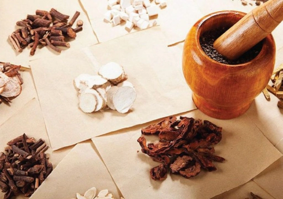 Dùng thuốc đông y để hỗ trợ điều trị bệnh đau đầu gối