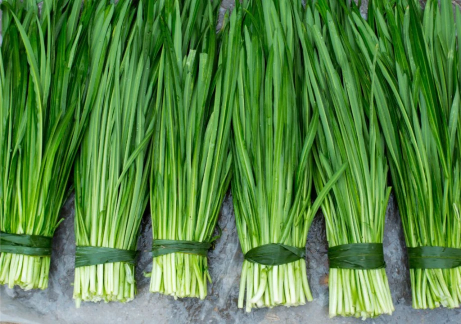 Hẹ là nguyên liệu phổ biến được sử dụng hằng ngày