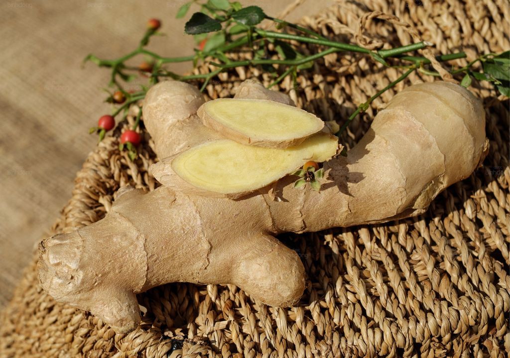 Sinh khương là tên gọi khác của Gừng