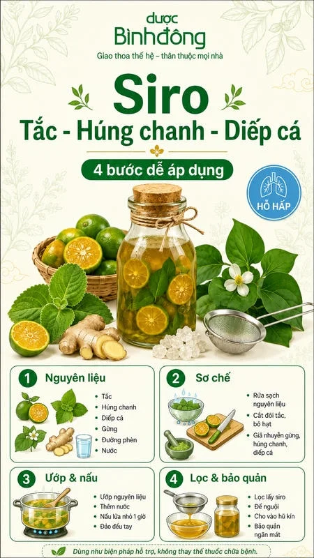 Hướng dẫn làm siro tắc Húng chanh Diếp cá