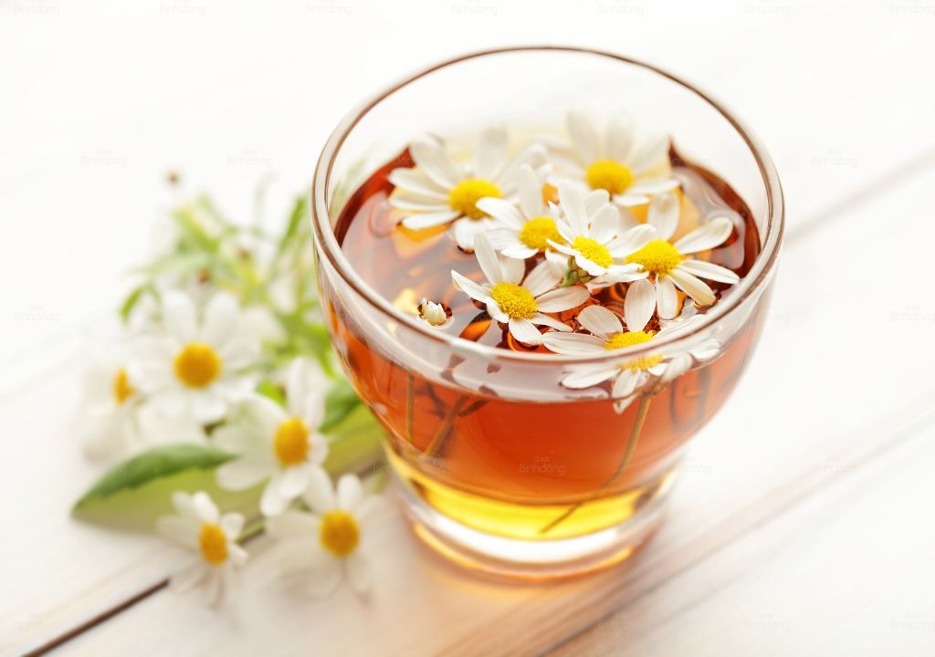 Hình chụp về trà hoa cúc