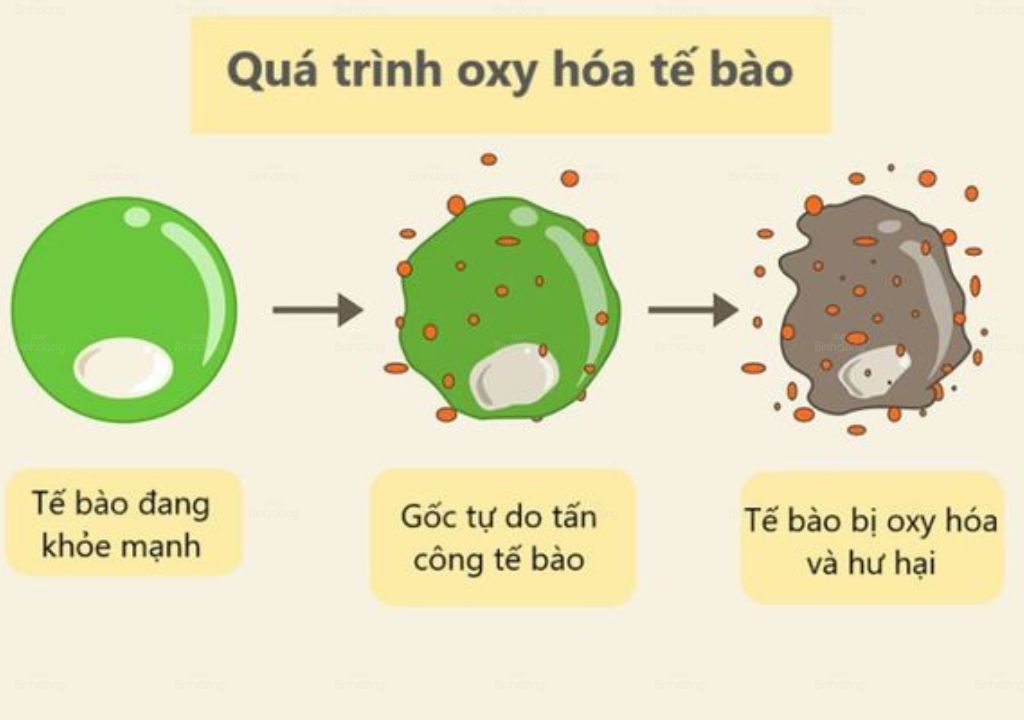 Minh họa quá trình oxy hóa
