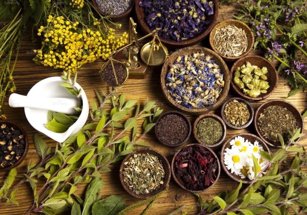 Ảnh chụp các loại dược liệu ngâm chân