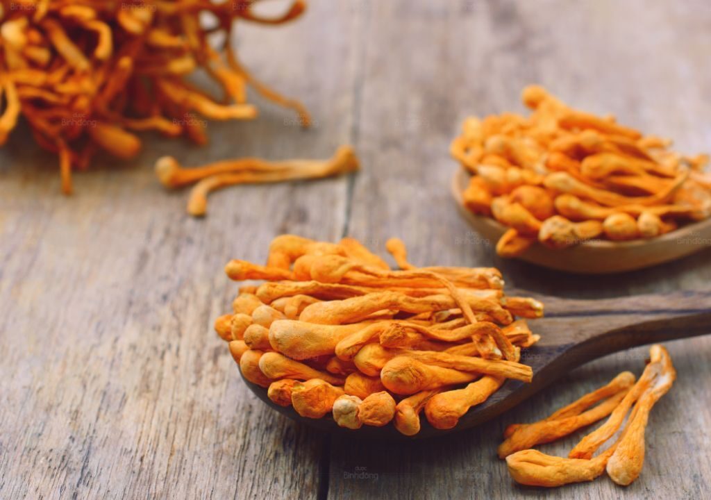 Đông trùng hạ thảo là gì? Cách dùng đông trùng hạ thảo khô, tươi để làm bài thuốc chữa bệnh, trà, ngâm rượu, chế biến món ăn bổ dưỡng,... tại nhà.