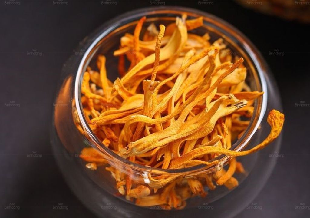Đông trùng hạ thảo và tác dụng phụ cần biết