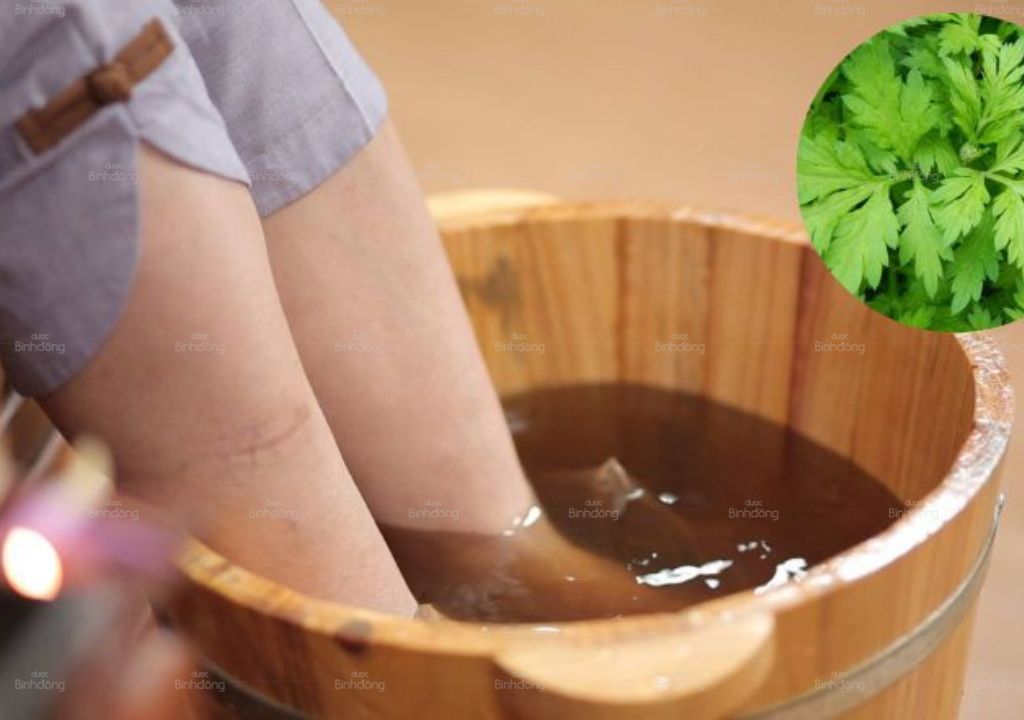 Dùng Ngải cứu tươi để ngâm chân