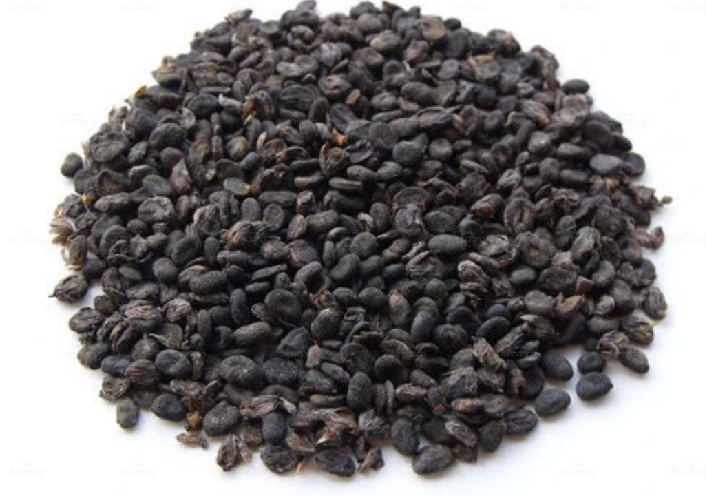 Ích Trí Nhân giảm các triệu chứng liên quan Thận