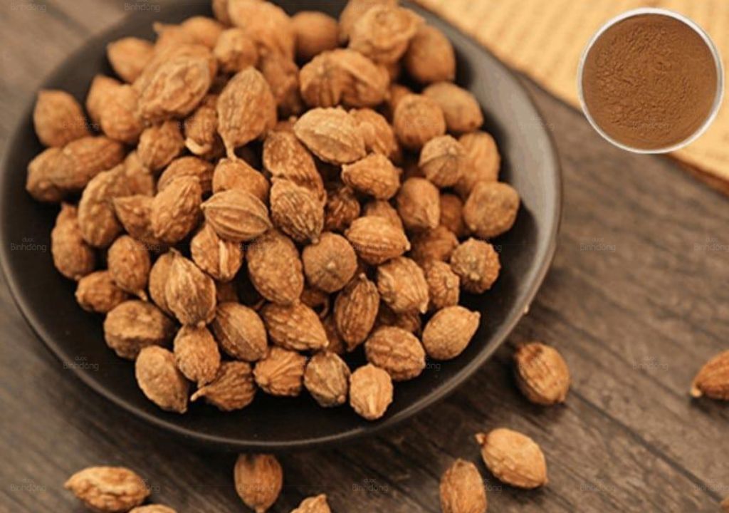 Ích trí nhân là dược liệu trong Đông Y