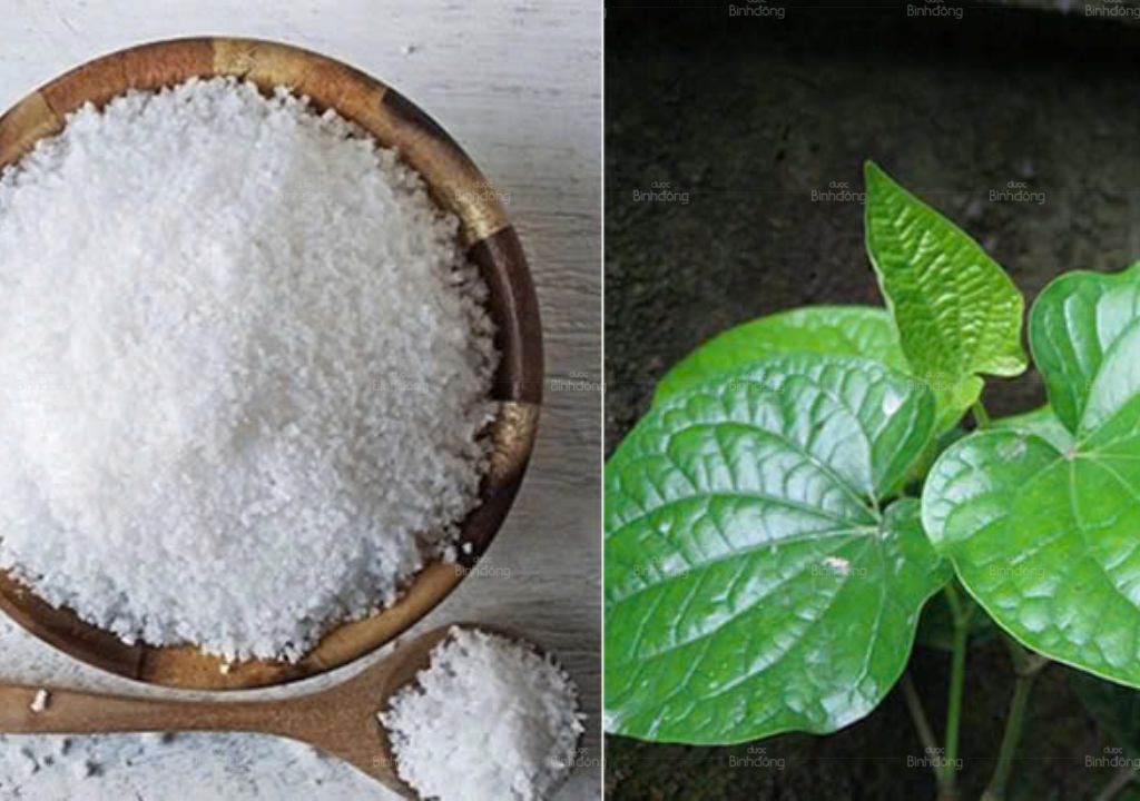 Muối và Lá lốt làm hỗn hợp ngâm chân hiệu quả