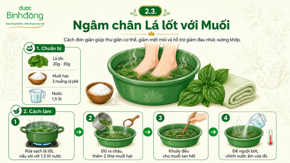 Infographic hướng dẫn ngâm chân lá lốt với muối