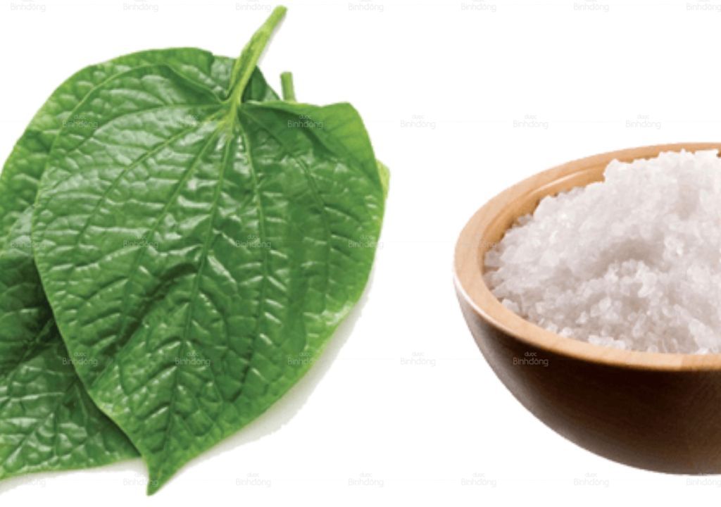 Ngâm chân bằng Lá lốt và Muối