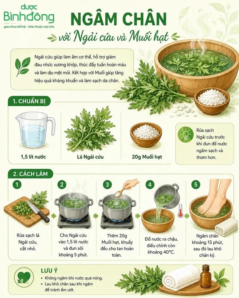 nfographic ngâm chân với ngải cứu và muối hạt