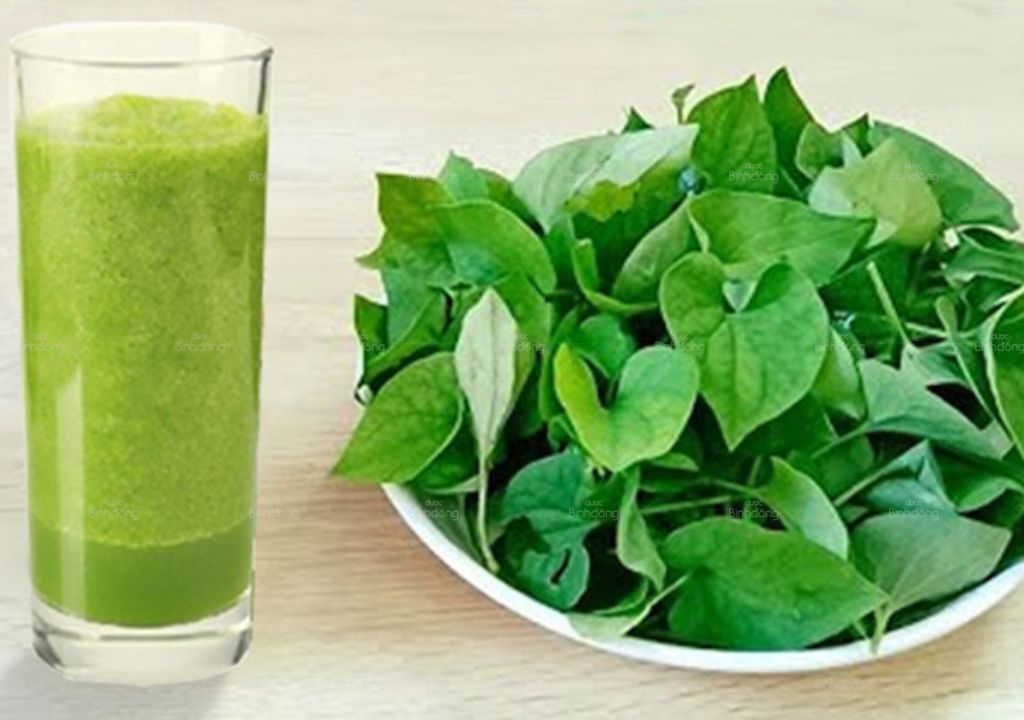 Hình chụp về nước ép diếp cá