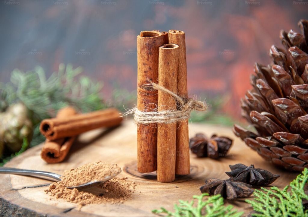 Nắm ngay công dụng tuyệt vời của Quế Chi cùng với các bài thuốc dân gian hiệu quả để điều trị các bệnh về xương khớp, phụ khoa, hô hấp, huyết áp,.... Một số lưu ý cần biết khi dùng vị thuốc này.