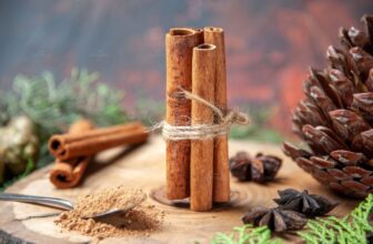 Nắm ngay công dụng tuyệt vời của Quế Chi cùng với các bài thuốc dân gian hiệu quả để điều trị các bệnh về xương khớp, phụ khoa, hô hấp, huyết áp,.... Một số lưu ý cần biết khi dùng vị thuốc này.