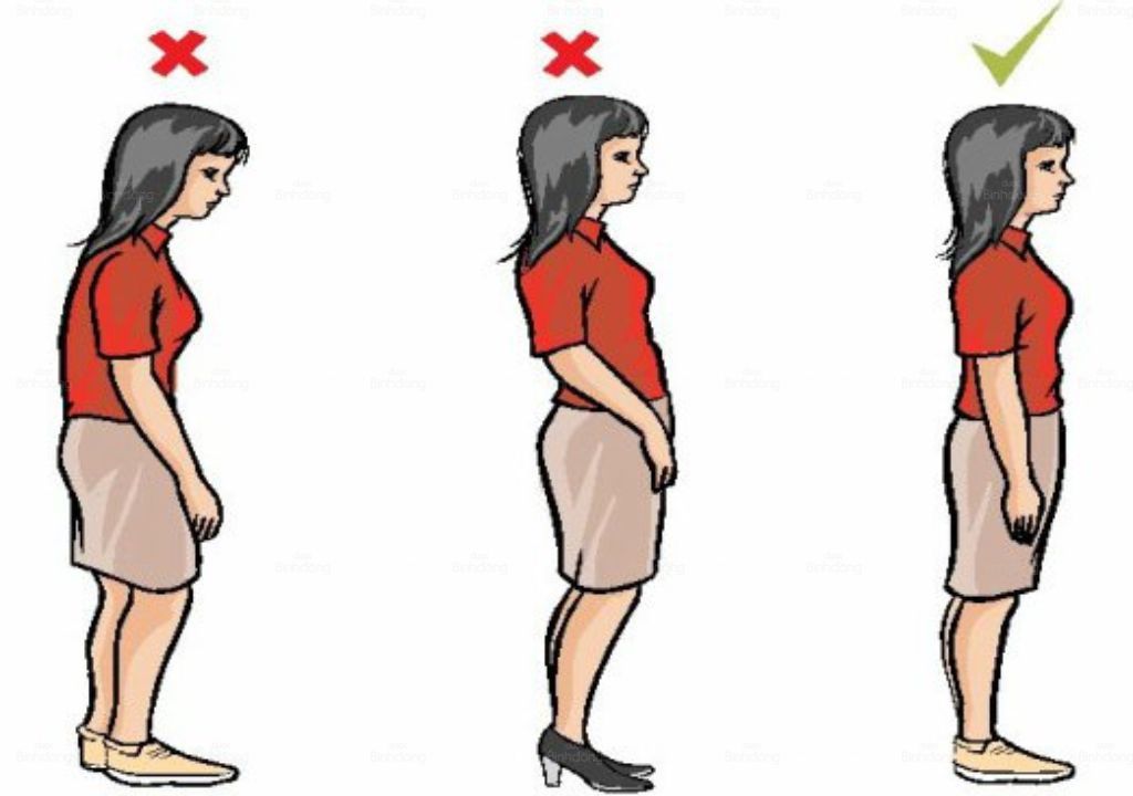 Minh họa các tư thế đúng