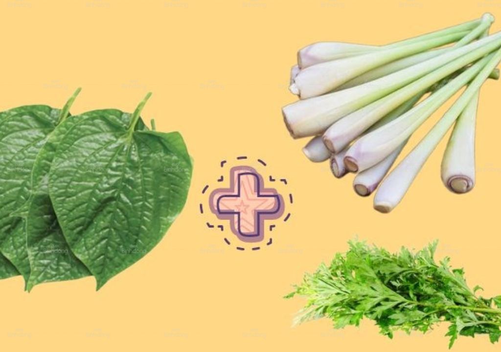 Ảnh chụp Lá Lốt, Sả và Ngải cứu dùng để ngâm chân