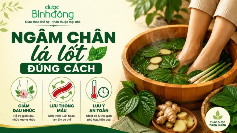 Thumbnail ngâm chân lá lốt đúng cách