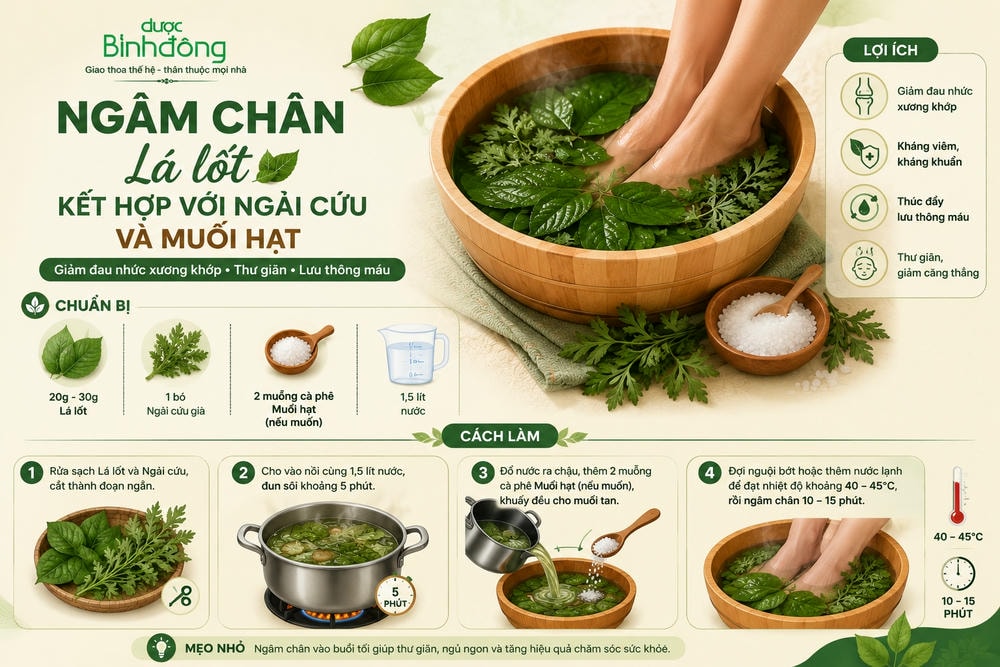 Infographic ngâm chân lá lốt với ngải cứu và muối hạt